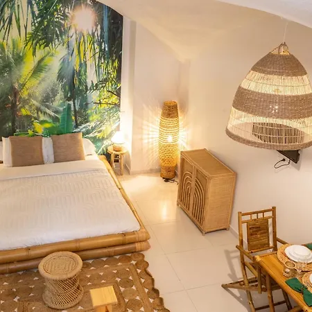 Le Bali Safranier Vieil Apartment *